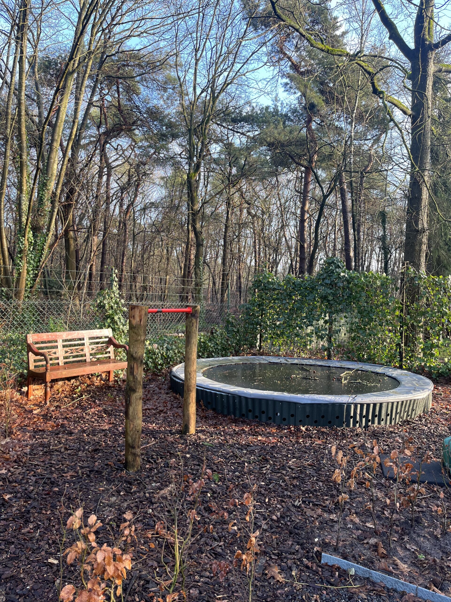 Tuin